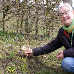 Erster Schritt, um mehr Bewusstsein für Wildpflanzen zu schaffen: Friede Röcher, Vorsitzende im Bürgerverein Dottel, verteilt Schildchen mit den Namen der Wildpflanzen im Ort.