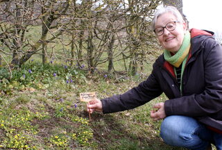 Erster Schritt, um mehr Bewusstsein für Wildpflanzen zu schaffen: Friede Röcher, Vorsitzende im Bürgerverein Dottel, verteilt Schildchen mit den Namen der Wildpflanzen im Ort.