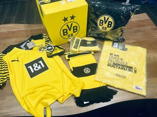 Der Dortmunder BVB hat zur Versteigerung ein komplettes Fanpaket mit Trikot, Schal, Kissen und sonstigen schwarz-gelben Dingen beigetragen.